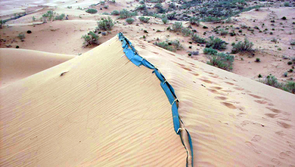 施工在流動沙丘沙脊線上的八字形網籠沙障可牢牢固定住流動沙丘