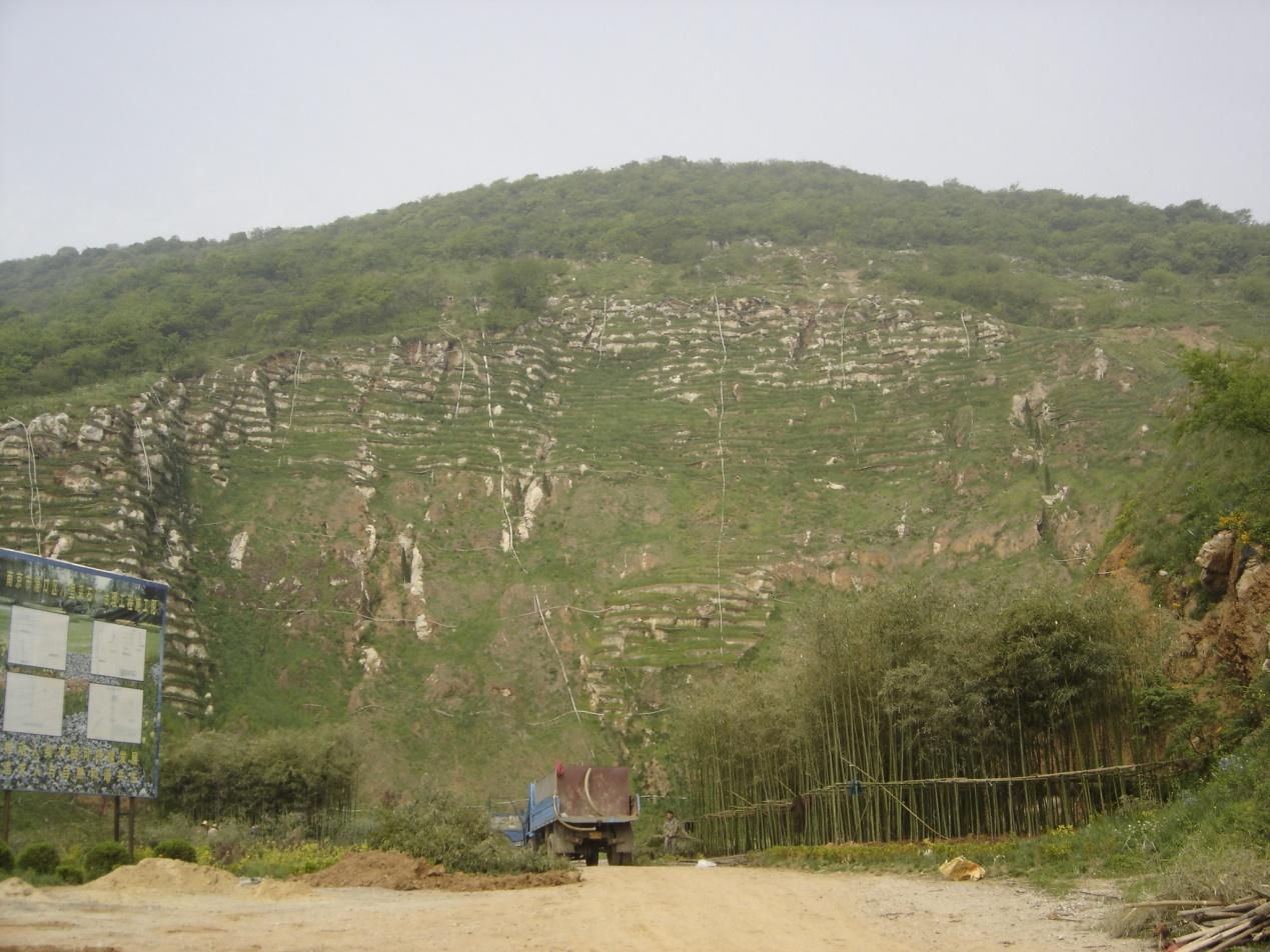 南京市浦口八里礦采石礦山修復