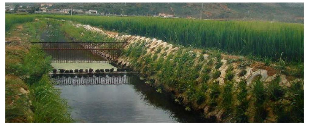屈原管理區平江河流域農業面源污染防治工程