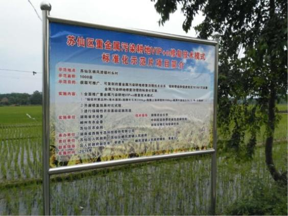 湖南省郴州市蘇仙區千畝農田鎘污染修復項目